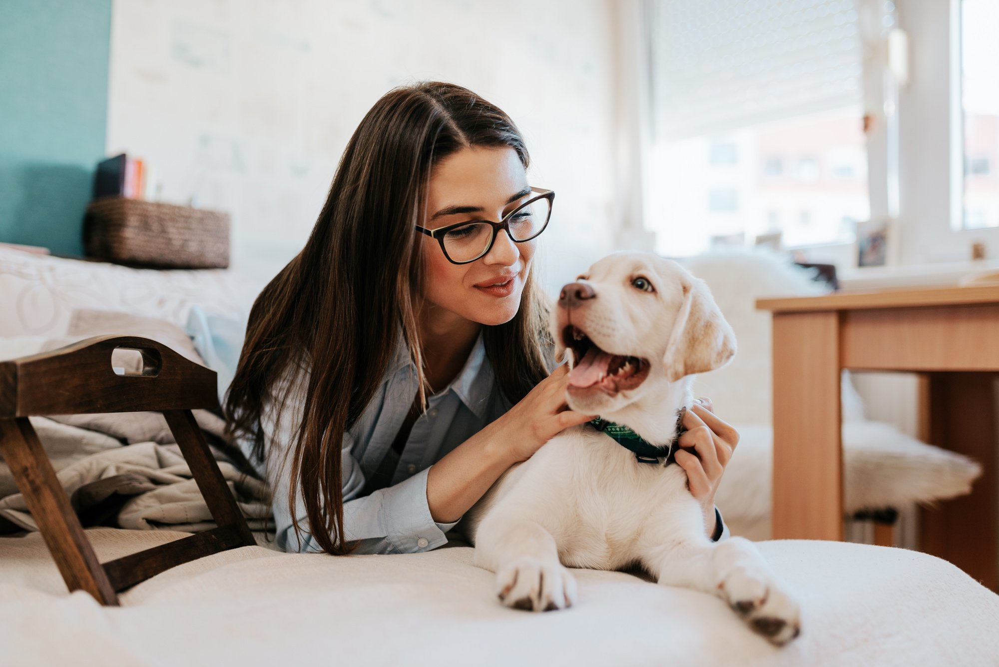 The Pros and Cons of Allowing Pets in Your Rental Property
